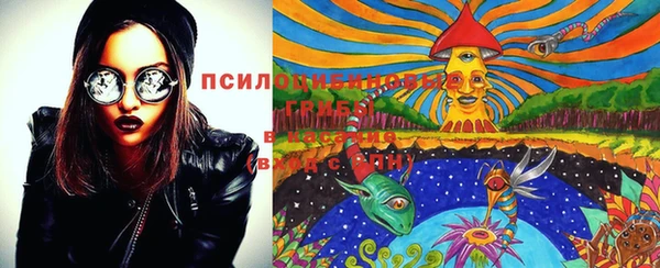 экстази Бородино
