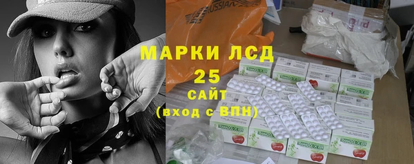 экстази Бородино