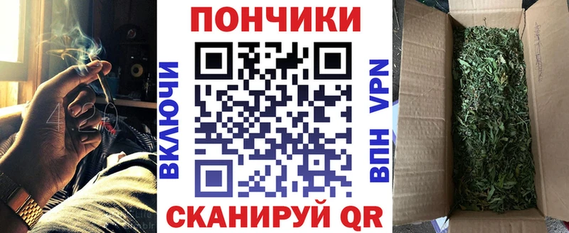 Шишки марихуана Amnesia  Купить где  Кириши 